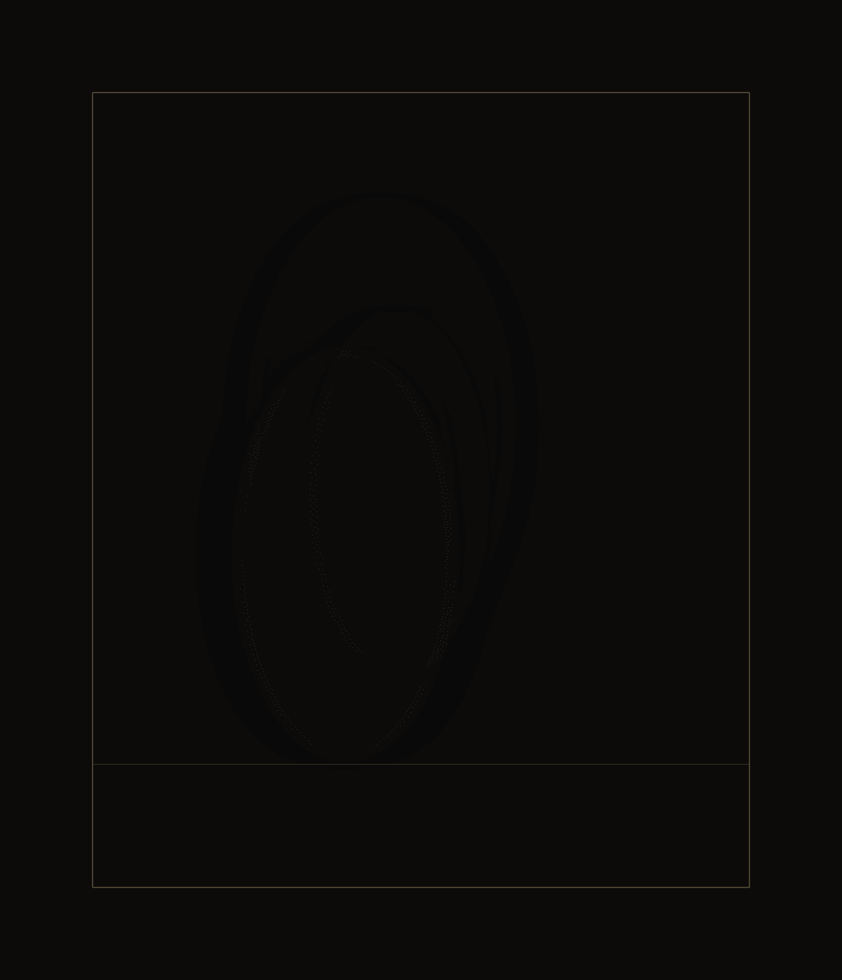 A head on a near-black ground, the surrounding armature drawn in the same colour as the ground and barely visible.